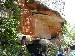 P1010239.JPG (74696 bytes)